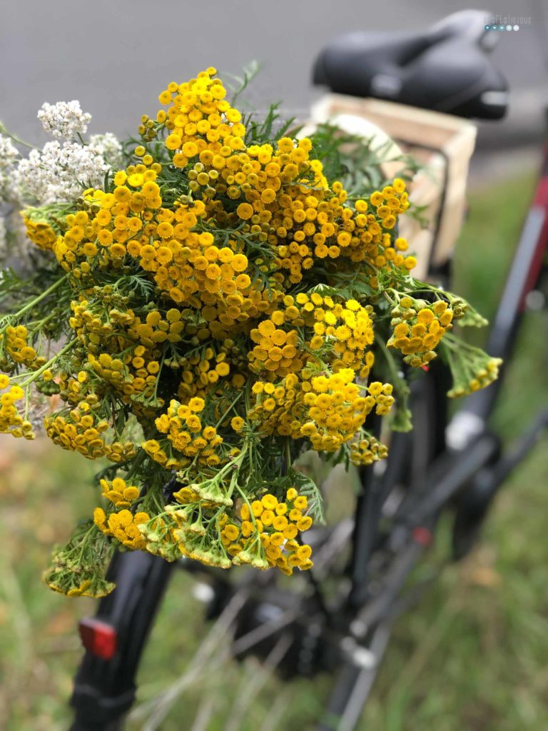 bike with flowers called cow bitter while enjoying summer at home