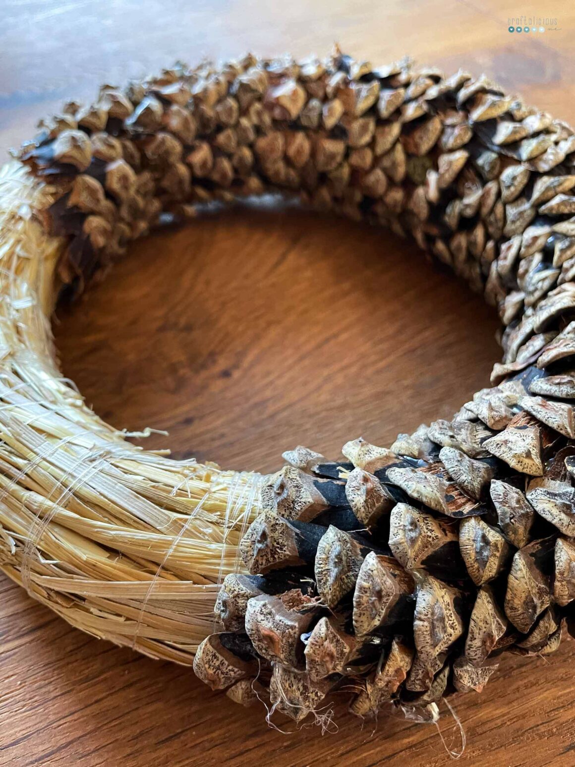 pine cone scale wreath1