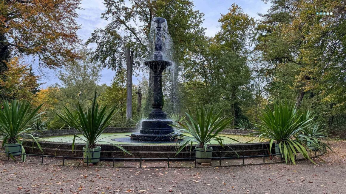 Date Day October fountain peacock island 